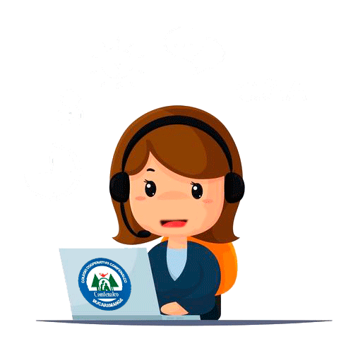 Contactar por WhatsApp